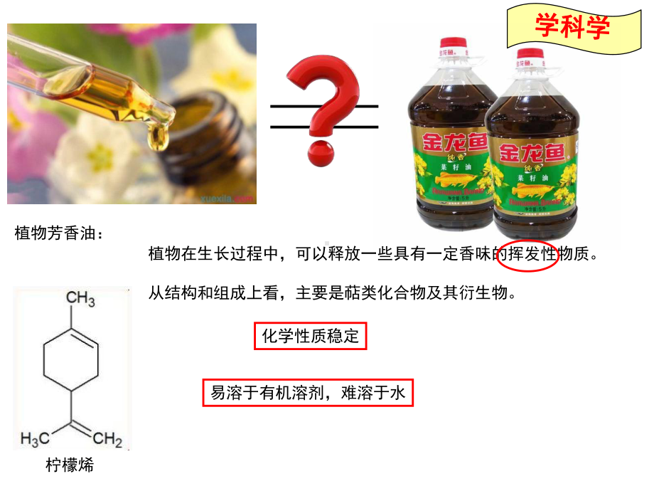 人教版高中生物选修一专题六课题一植物芳香油的提取教学课件共14张-(共14张).ppt_第3页