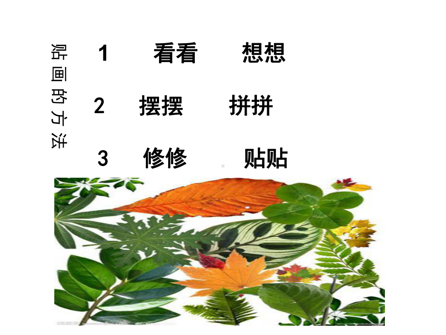 人美版二年级树叶贴画-课件.ppt_第3页