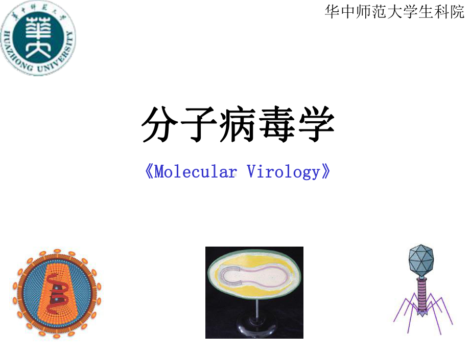 分子病毒学-第l六章-病毒装配成熟释放课件.ppt_第1页