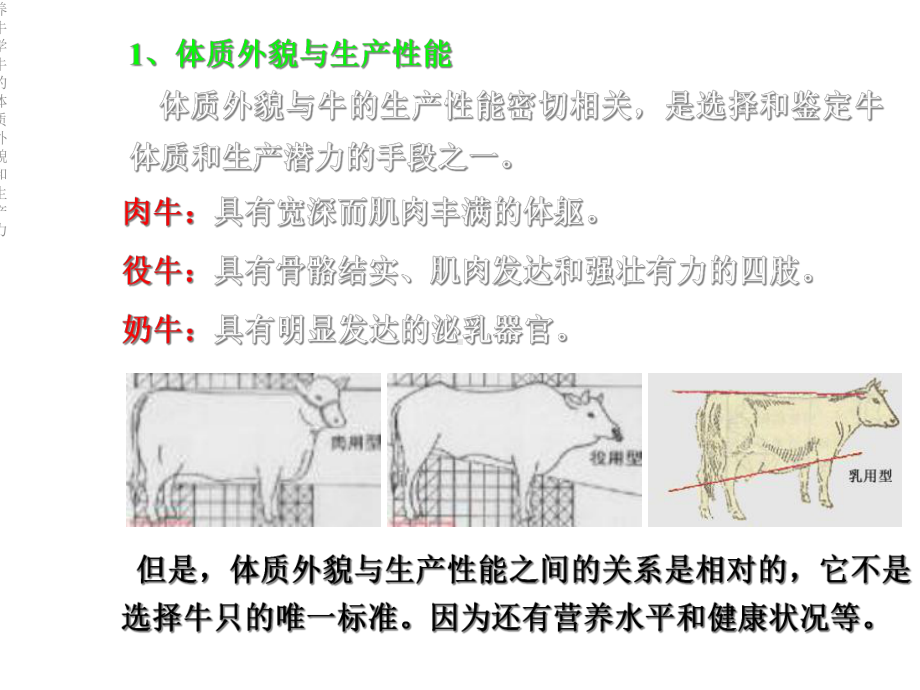 养牛学牛的体质外貌和生产力课件.ppt_第3页