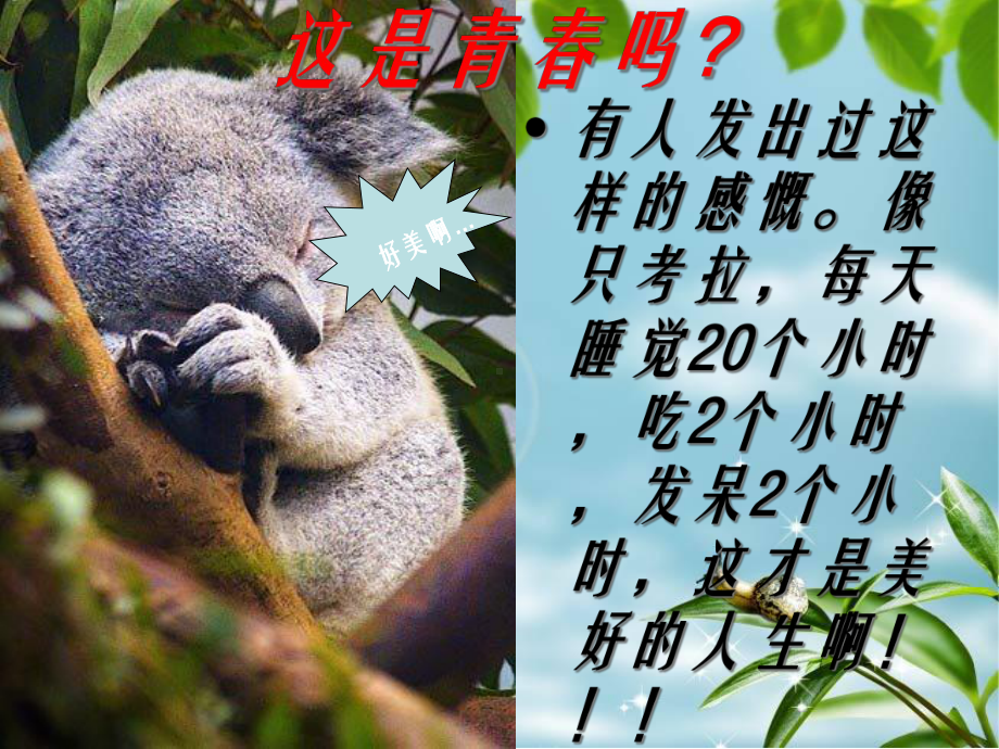 励志青春主题班会1幻灯片课件.ppt_第3页