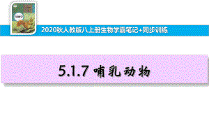 八上生物学霸笔记+同步训练517哺乳动物课件.ppt