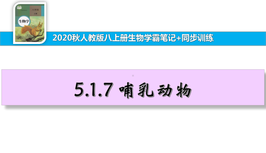 八上生物学霸笔记+同步训练517哺乳动物课件.ppt_第1页