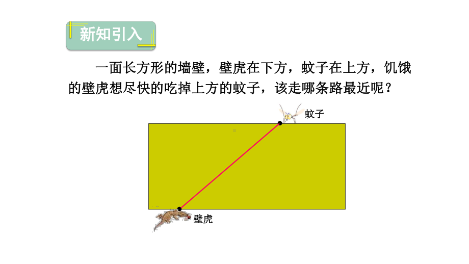 人教版数学七年级上册立体图形的展开图课件.pptx_第2页