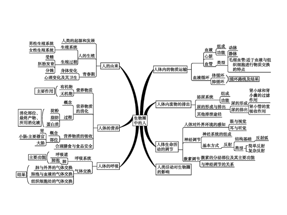 中考生物总复习专题4生物圈中的人课件.ppt_第2页