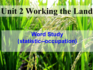 人教新课标高中英语必修四-Unit2-Working-the-land-课件-(词汇)-(共34张).ppt--（课件中不含音视频）