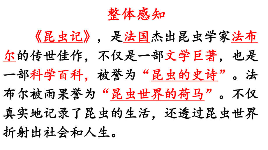 初中部编版八年级初二上册语文名著导读《昆虫记》公开课课件（定稿）.ppt_第2页