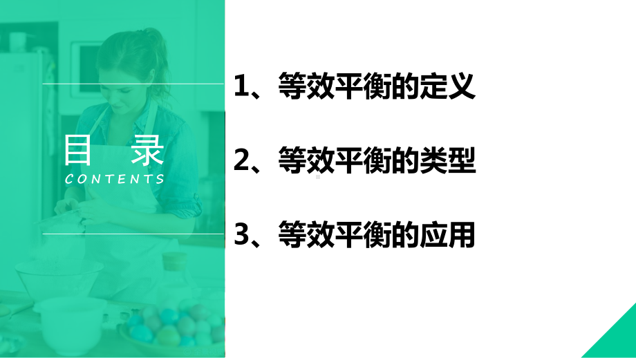 人教版高中化学选修等效平衡课件.ppt_第2页