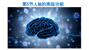 人教版新教材《人脑的高级功能》1课件.pptx