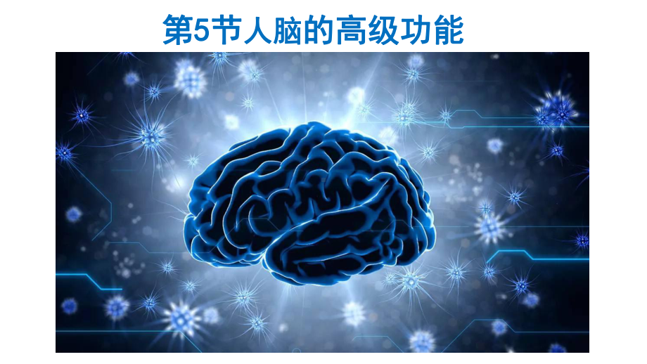 人教版新教材《人脑的高级功能》1课件.pptx_第1页