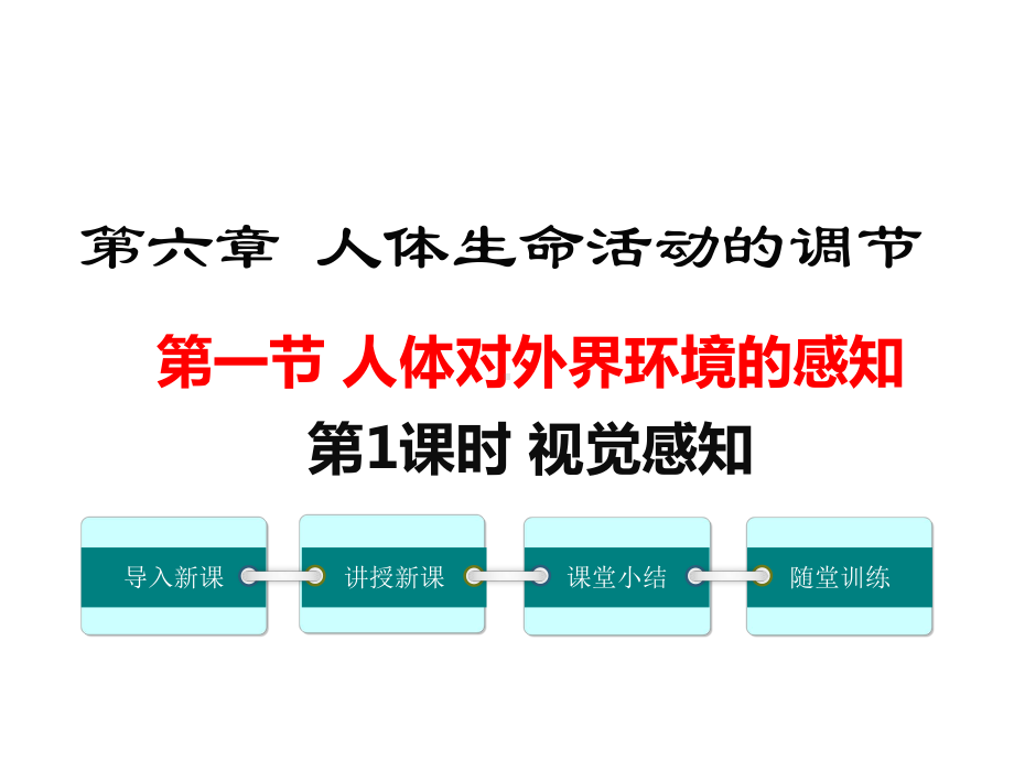 人教版初一生物下册《视觉感知》课件.ppt_第1页