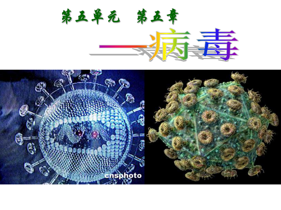 人教版八年级生物上册病毒课件《病毒》-.pptx_第3页