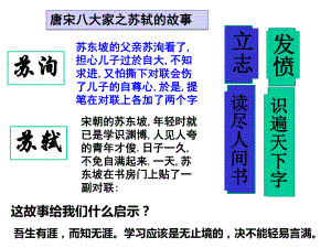 初三政治第六课讲解-我的毕业季课件.pptx