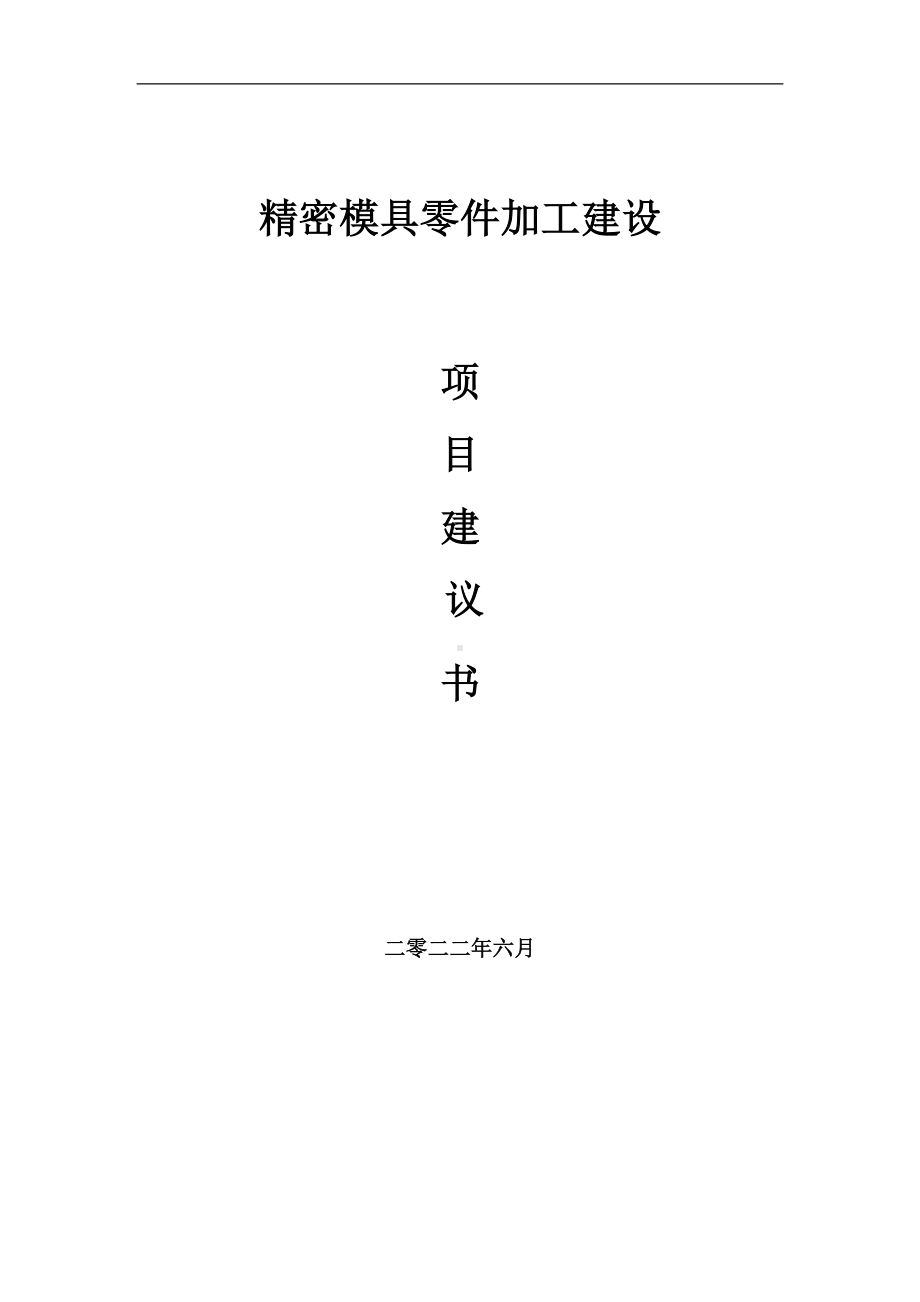 精密模具零件加工项目建议书（写作模板）.doc_第1页