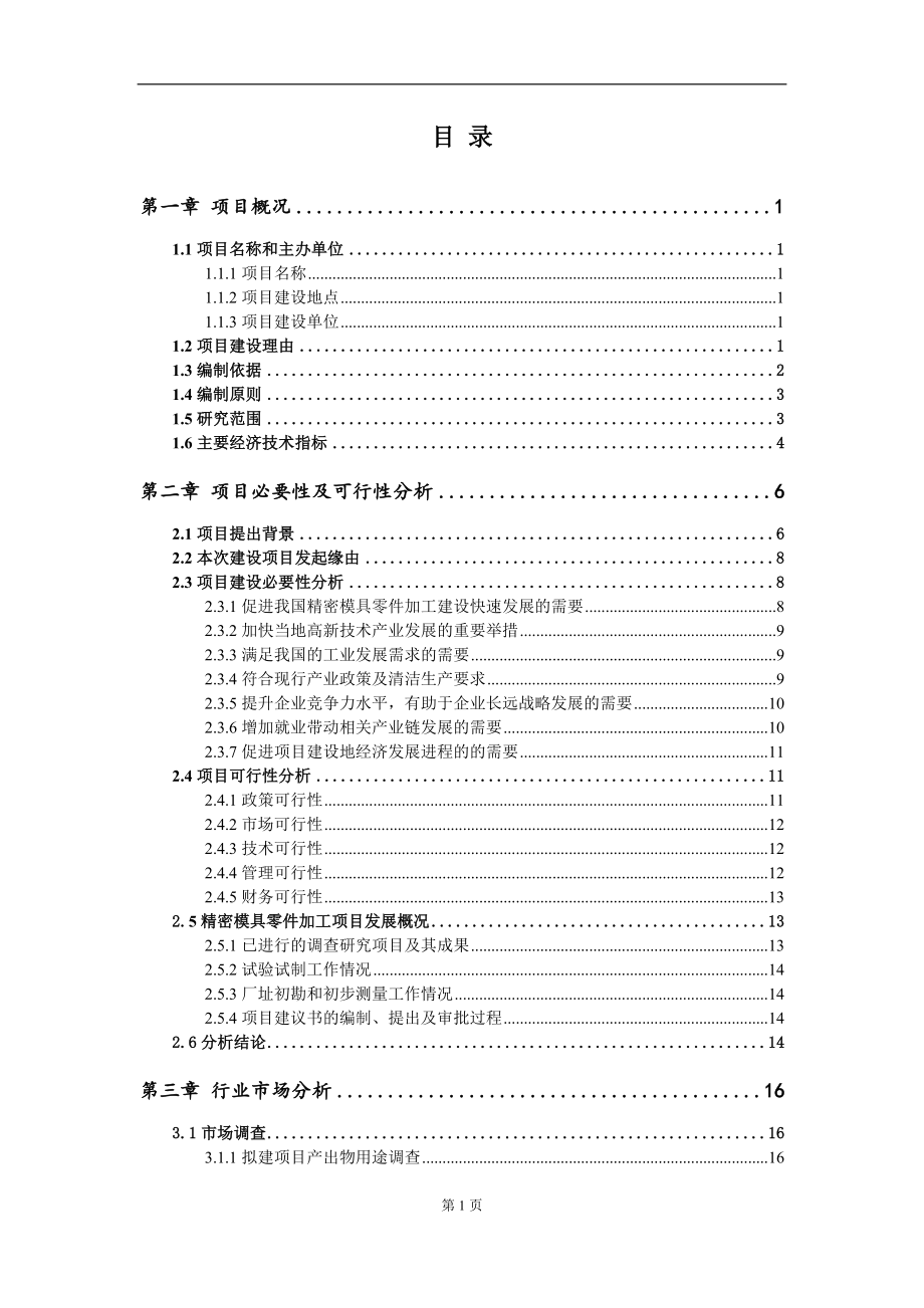 精密模具零件加工项目建议书（写作模板）.doc_第2页