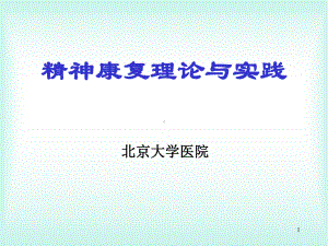 精神康复理论与实践课件.ppt