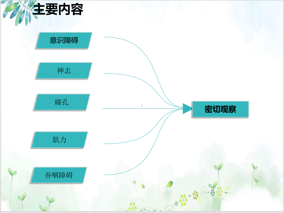 神经科常见生命体征的护理业务学习完整培训讲义课件.ppt_第3页