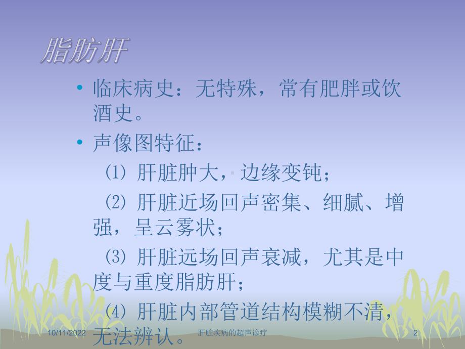 肝脏疾病的超声诊疗培训课件.ppt_第2页