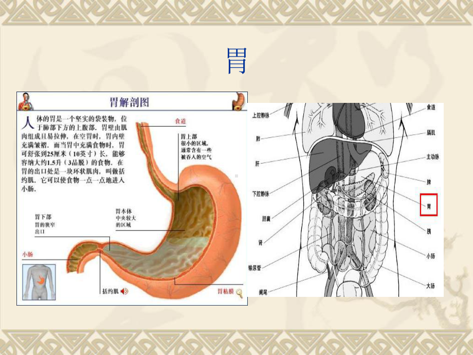 PBL案例3胃癌解析课件.ppt_第3页