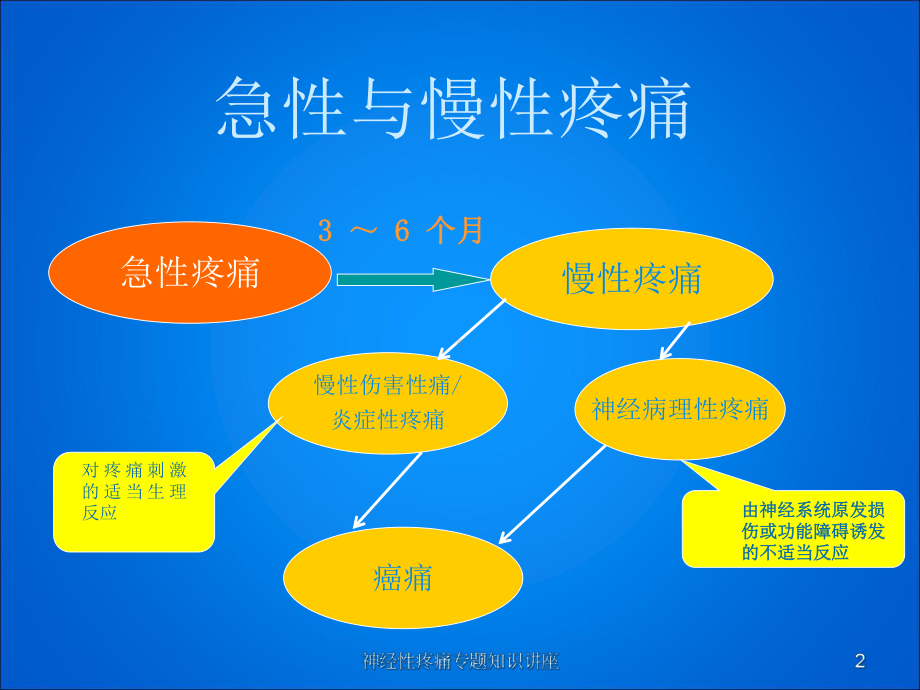 神经性疼痛专题知识讲座培训课件.ppt_第2页