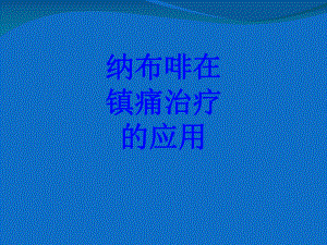 纳布啡在镇痛治疗的应用培训课件.ppt