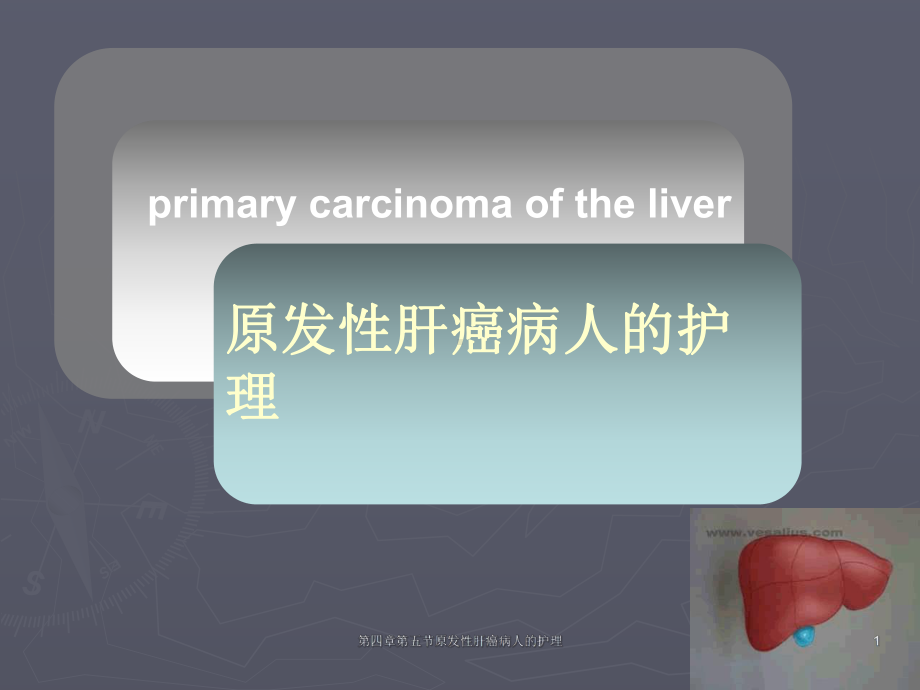 第四章第五节原发性肝癌病人的护理课件.ppt_第1页