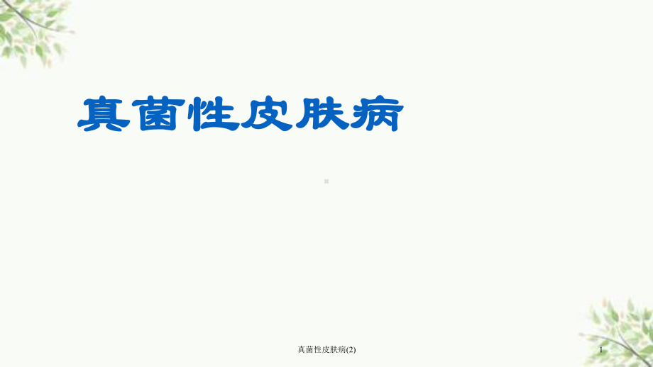 真菌性皮肤病课件2.ppt_第1页