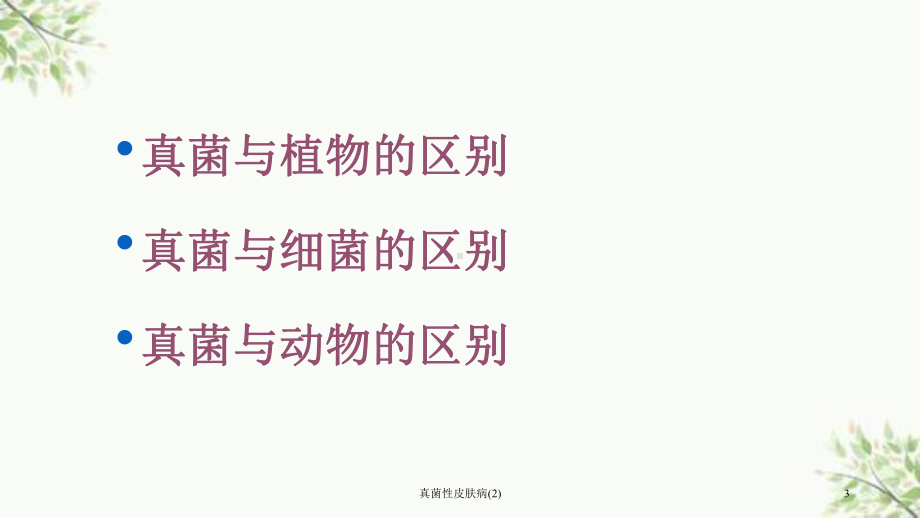 真菌性皮肤病课件2.ppt_第3页