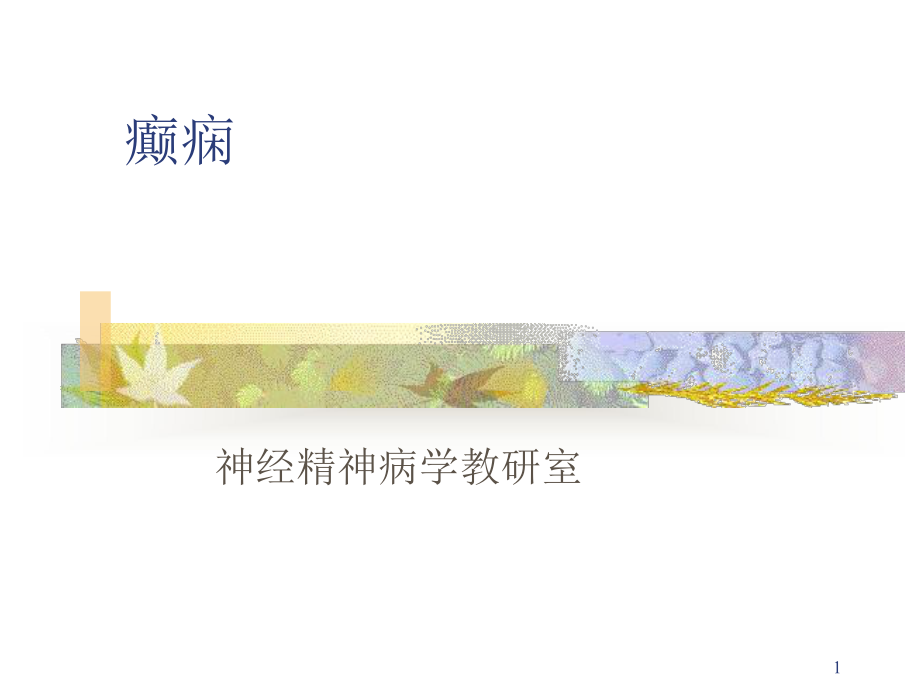 癫痫医师考试需要的复习课件.ppt_第1页