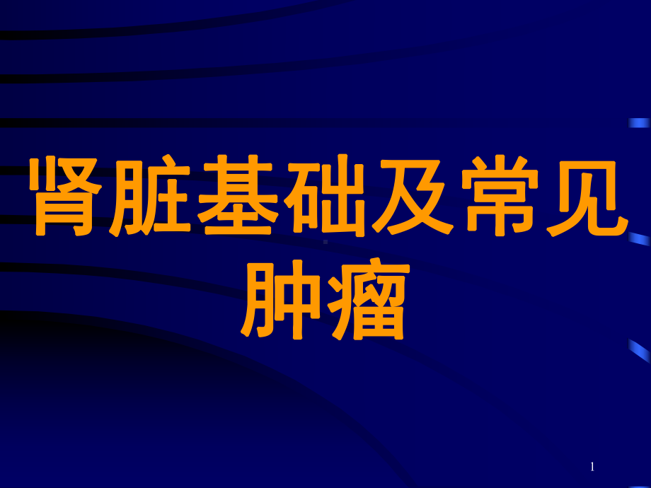 组织学与胚胎学-泌尿系统参考课件.ppt_第1页