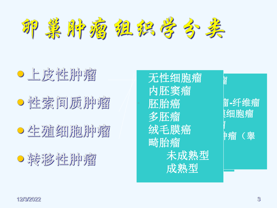 十章卵巢肿瘤课件.ppt_第3页