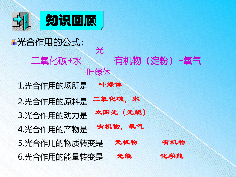 绿色植物的呼吸作用人教新课标版课件.ppt_第2页