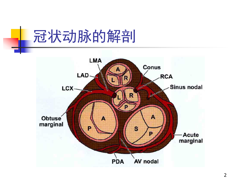 AMI的心电图应用总结课件.ppt_第2页