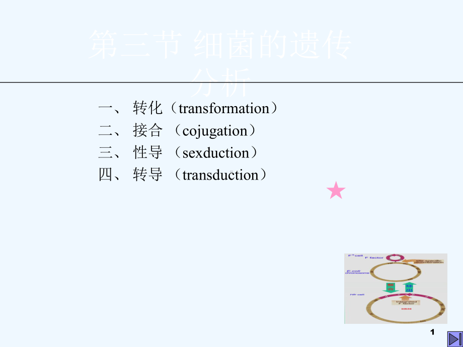 细菌和病毒的遗传性导转导课件.ppt_第1页