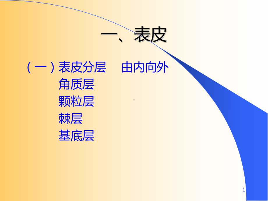 皮肤护理以及病理学教程6课件.ppt_第1页