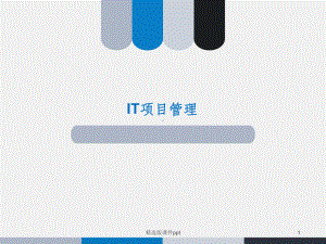 IT项目管理课件.ppt