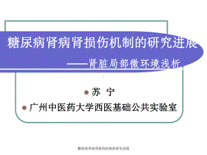 糖尿病肾病肾损伤机制的研究进展课件.ppt