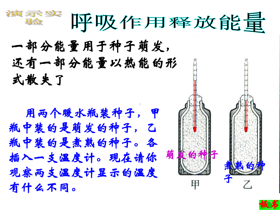 第五章第二节绿色植物的呼吸作用1课件.ppt_第3页