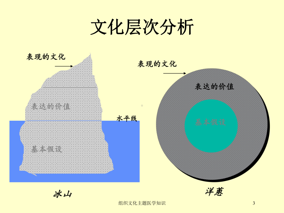 组织文化主题医学知识培训课件.ppt_第3页