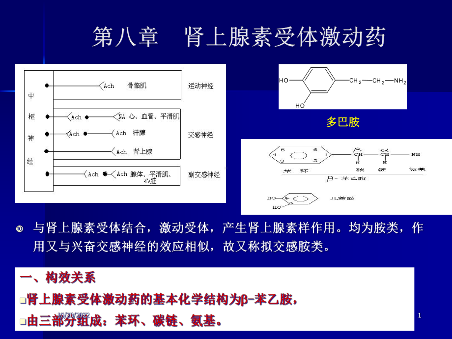 五讲肾上腺素受体药课件.ppt_第1页