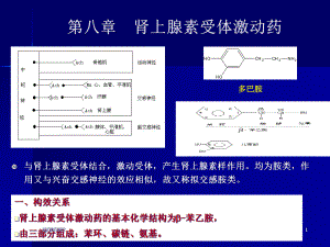 五讲肾上腺素受体药课件.ppt