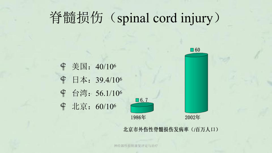 神经源性膀胱康复评定与治疗课件.ppt_第2页