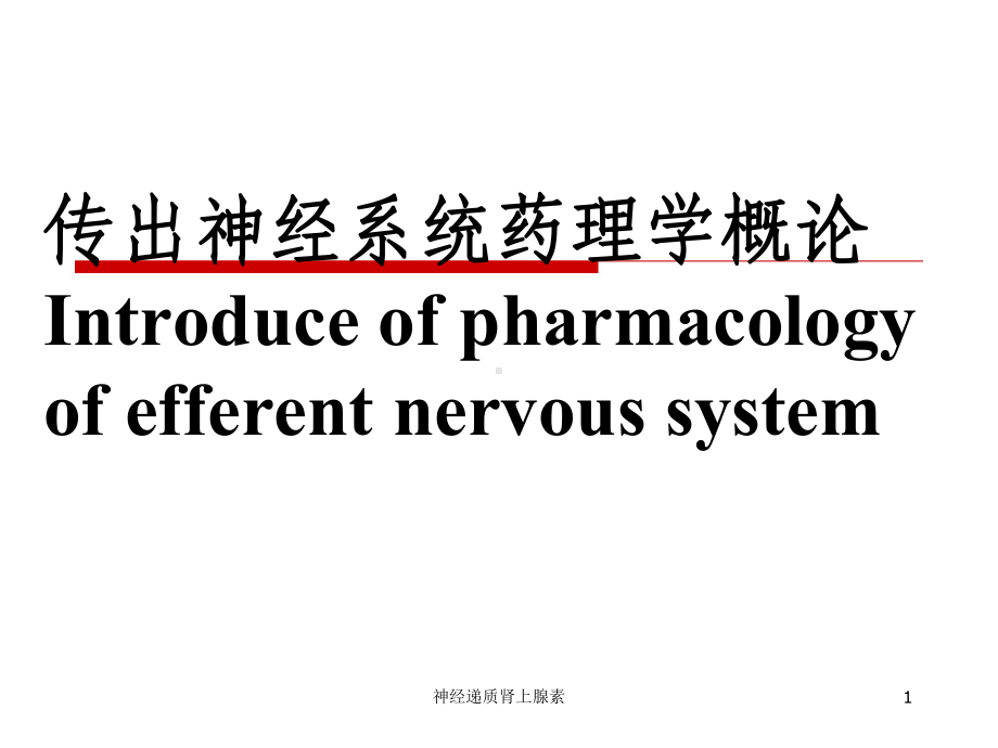 神经递质肾上腺素课件.ppt_第1页