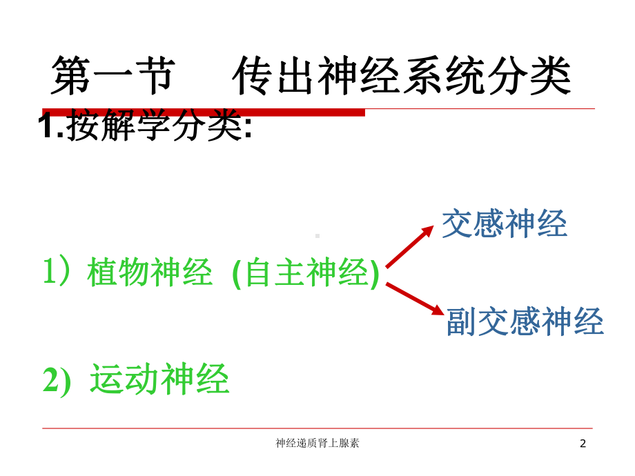 神经递质肾上腺素课件.ppt_第2页