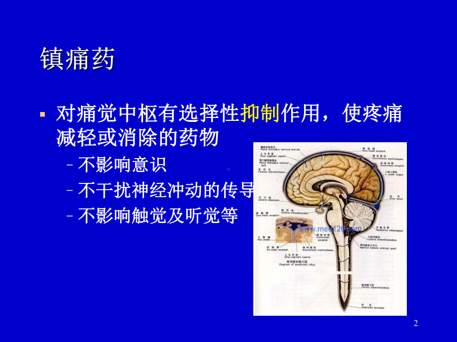 2章中枢神经镇痛药课件.ppt_第2页