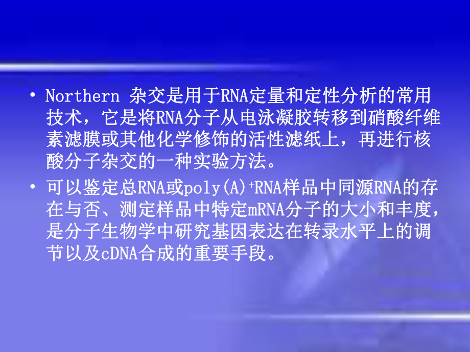 Northern印迹杂交技术教案课件.ppt_第2页