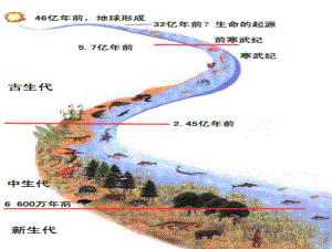 72追寻生命的起源课件.ppt