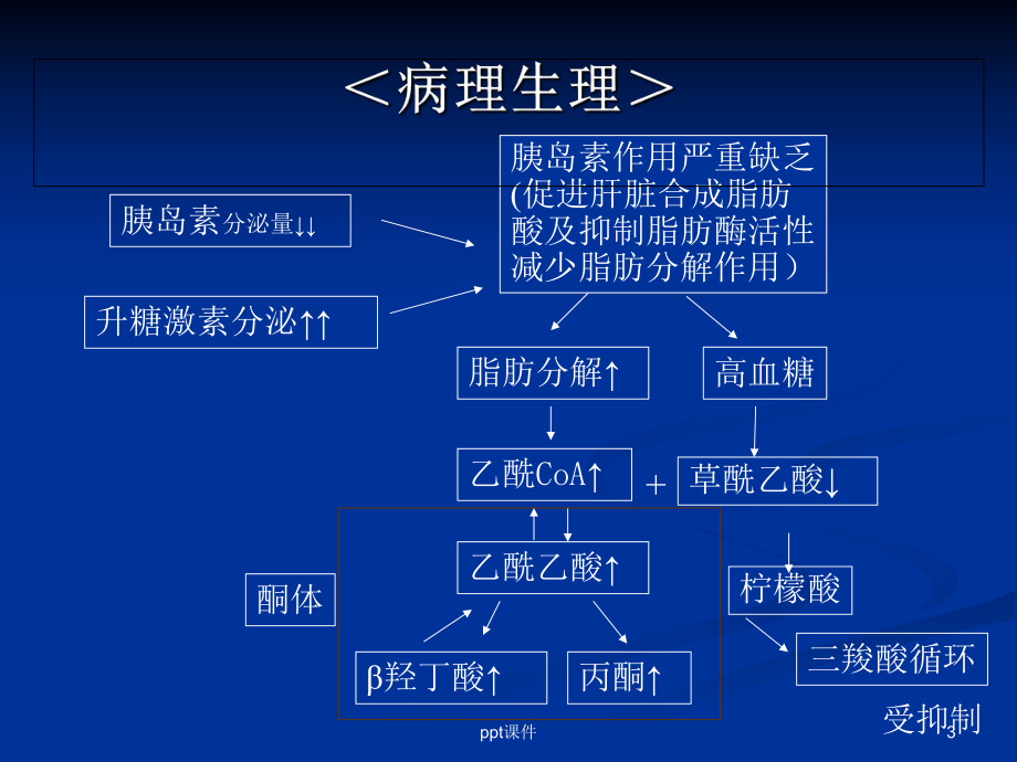 糖尿病酮症酸中毒（内科）-课件.ppt_第3页