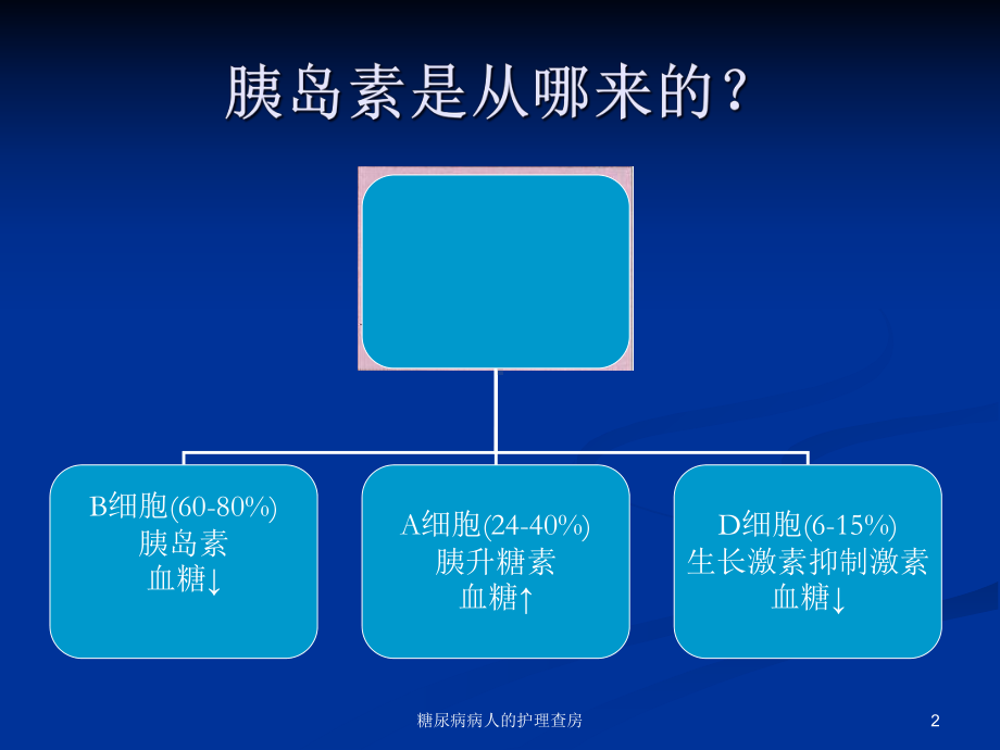 糖尿病病人的护理查房课件.ppt_第2页