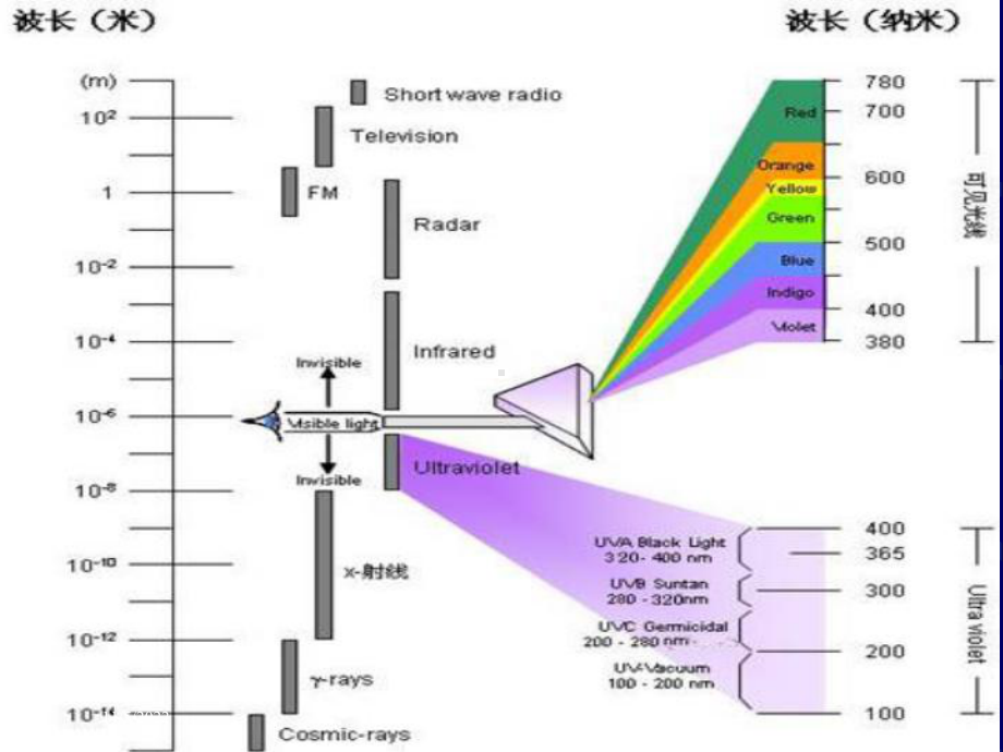 紫外线在皮肤科的应用培训课件.ppt_第1页